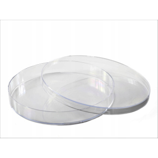 Petri-schotel PS 140x20mm 10 stuks