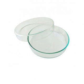 Glazen Petri-schaal 120x20mm