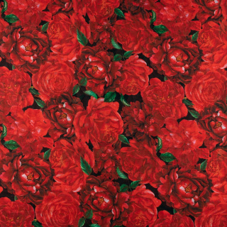 Glad chiffon stof rode bloemen patroon 0,5m