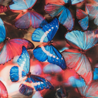 Stof viscose twill lichtblauw glad vlinder patroon 0,5m