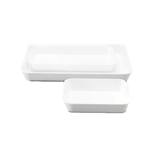 Laboratoriumtray van MF – 290 × 160 × 35 mm