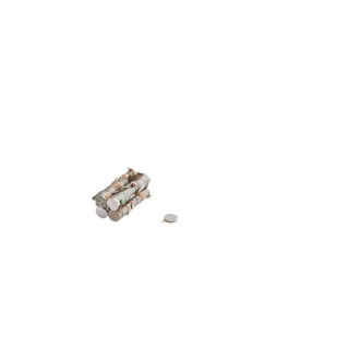 Neodymiummagneet 10 stuks met 3M-lijm MW 6x2 N38