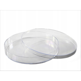 Petri-schotel PS 140x20mm 10 stuks