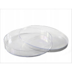 Petri-schotel PS 140x20mm 10 stuks