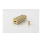 Vergulde magneet MW 5x7 N38