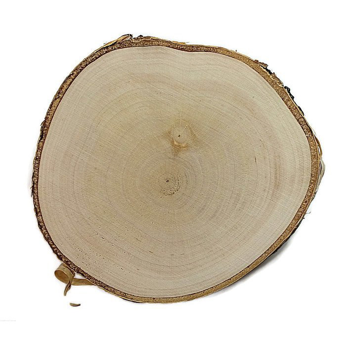 Houten schijf berkenhout geschuurd 10-12cm 1cm megamix.sk