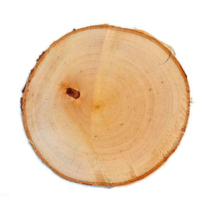Houten berkenschijf geschuurd 3-5cm 2cm megamix.sk