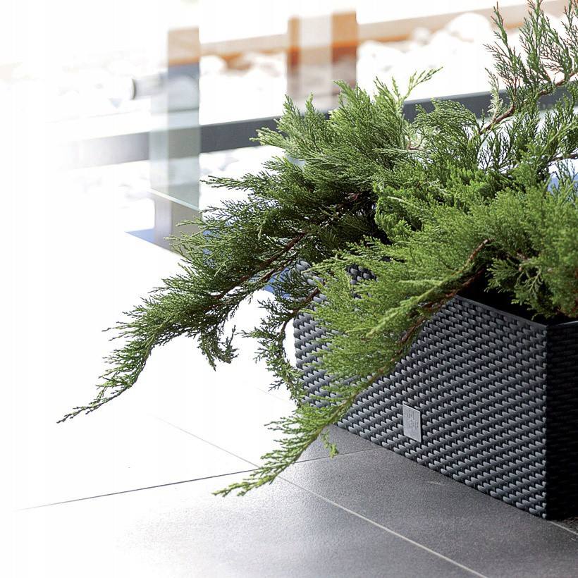 bloempot 50x18x19cm 17L balkon tuin megamix.sk