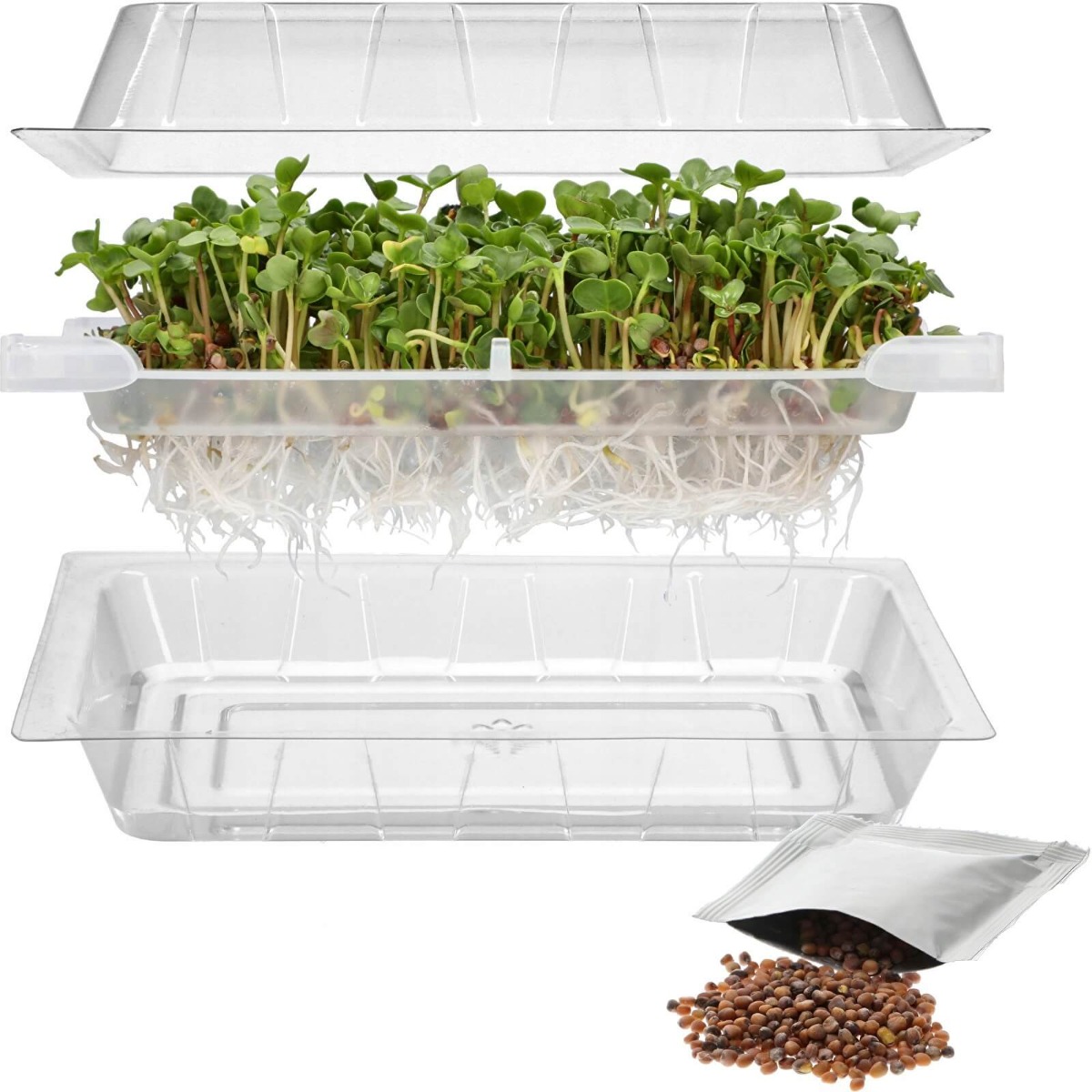 kiempotten container voor ontkieming 18,5 x 12,5 cm megamix.sk