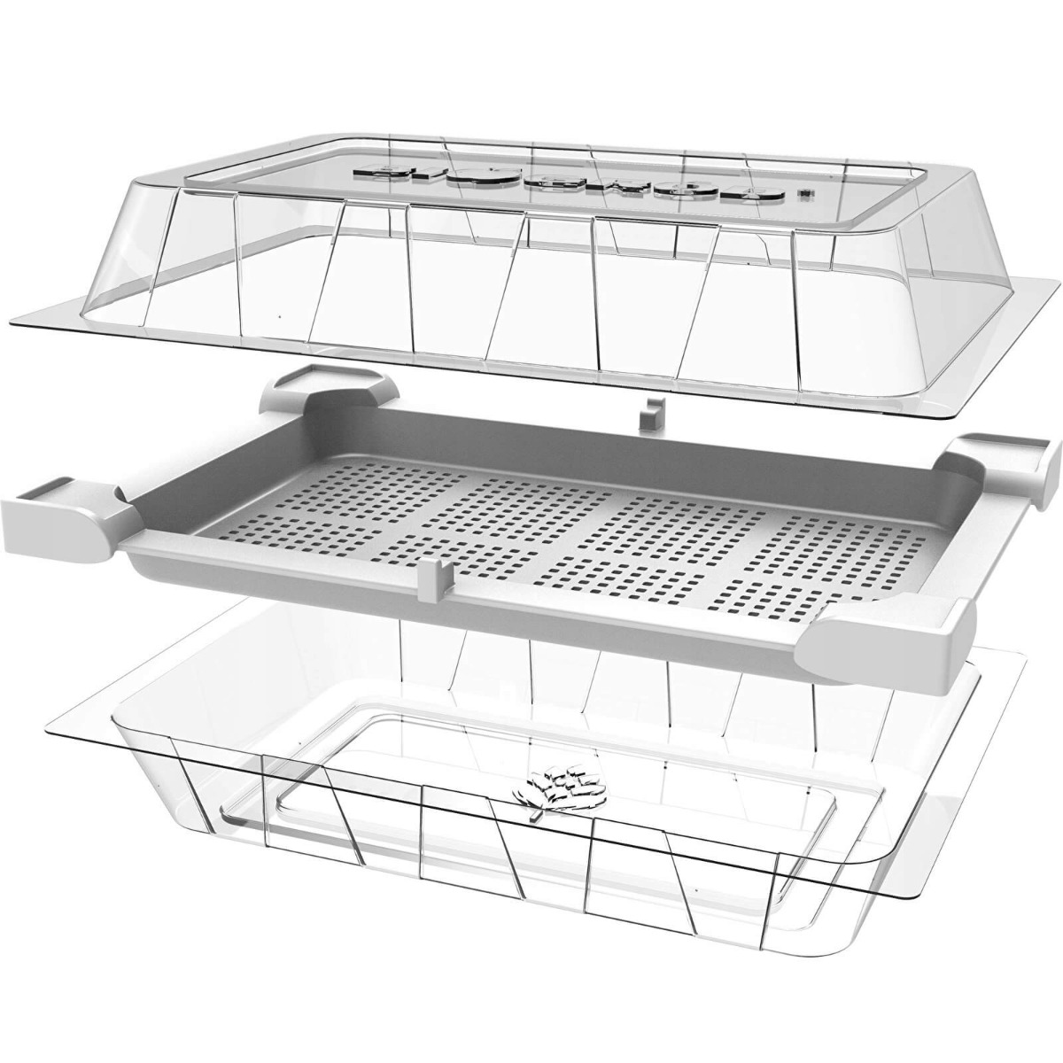 kiempotten container voor ontkieming 18,5 x 12,5 cm megamix.sk