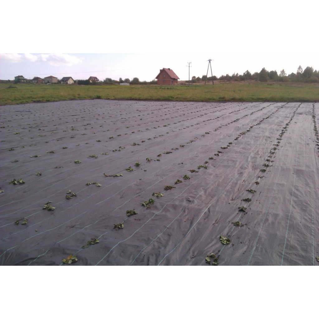 stalen pinnen voor landbouwtextiel 100 stuks 15 cm 3 mm megamix.sk