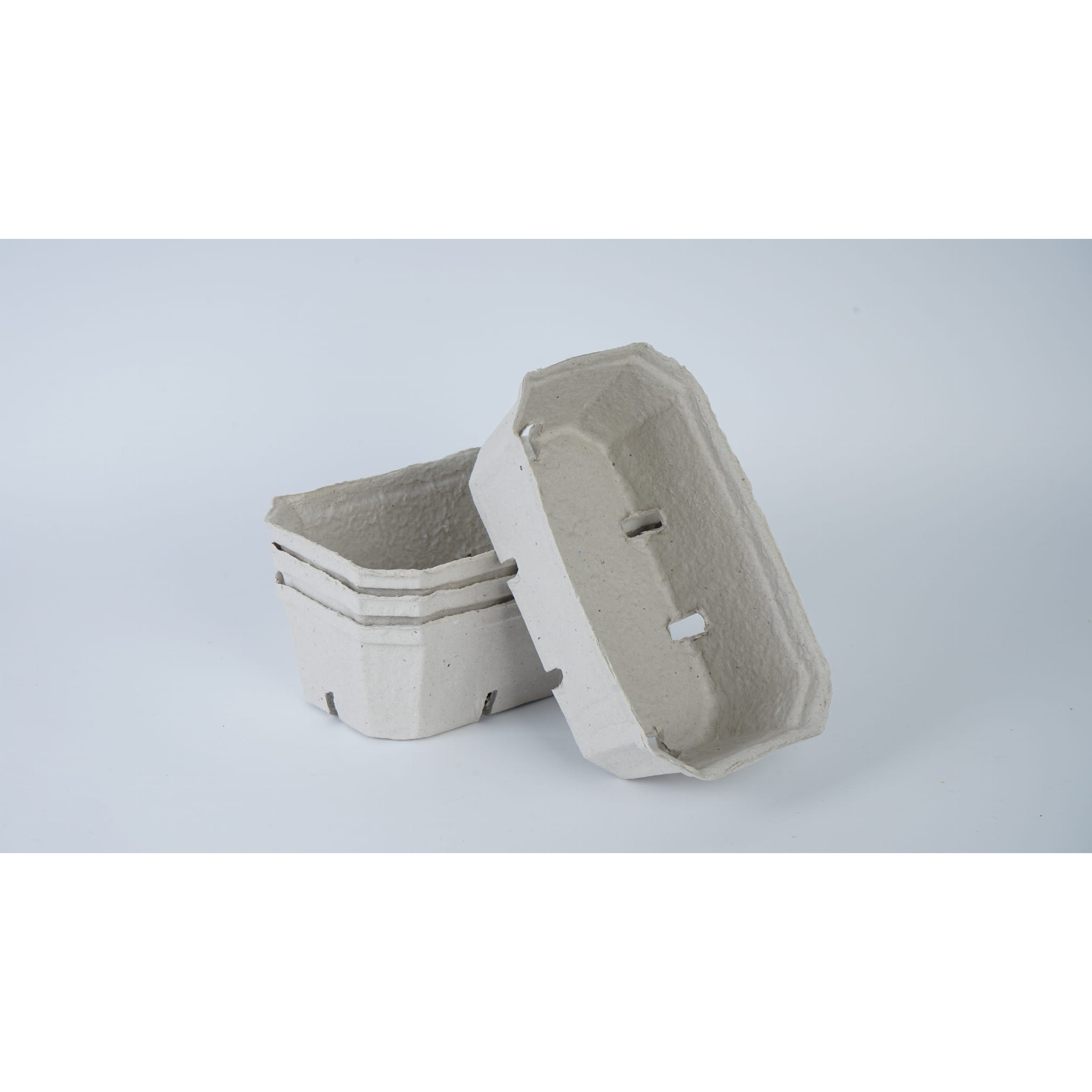 Papieren bakje voor fruit 500g 100st 190x115x65mm megamix.sk