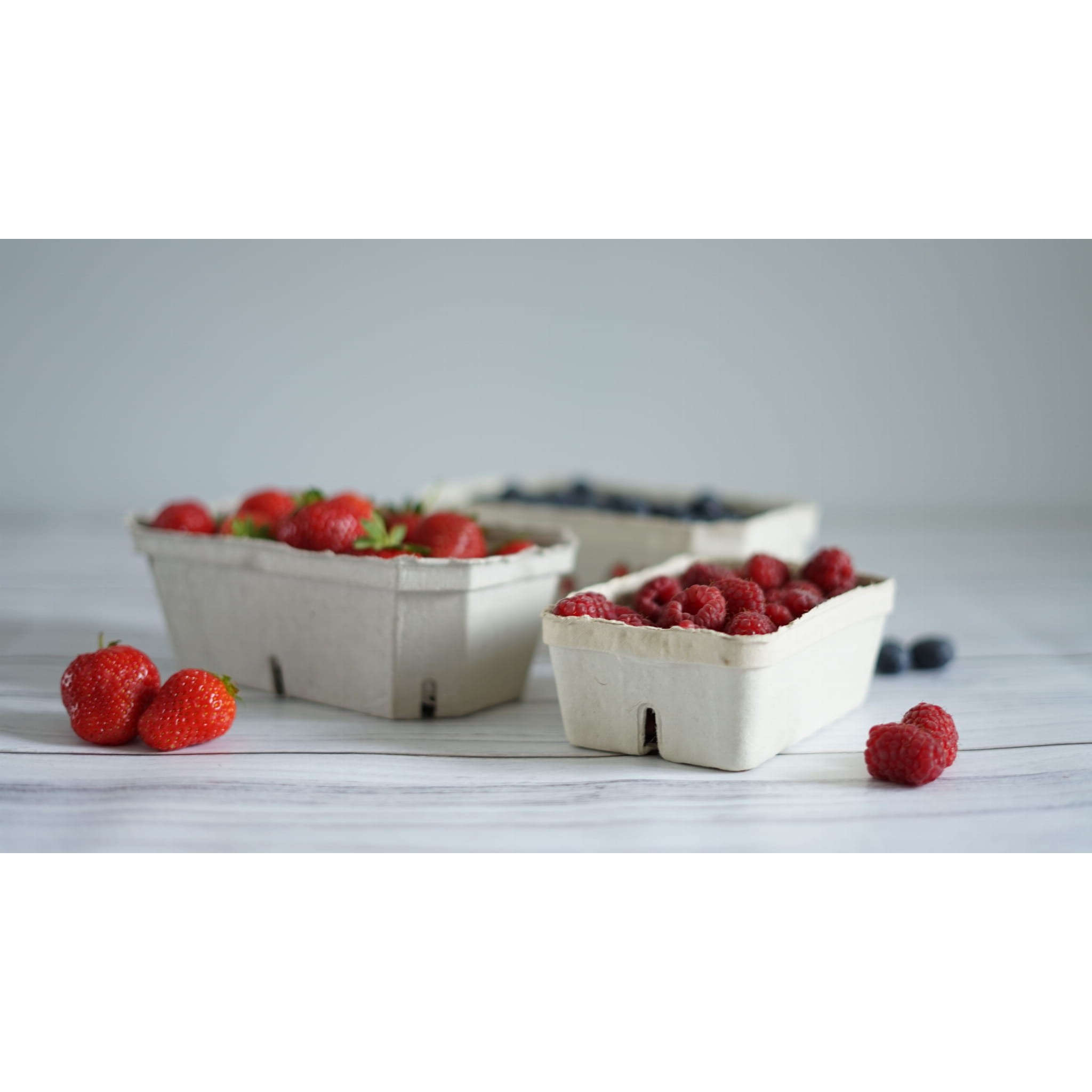 Papieren bakje voor fruit 500g 100st 190x115x65mm megamix.sk