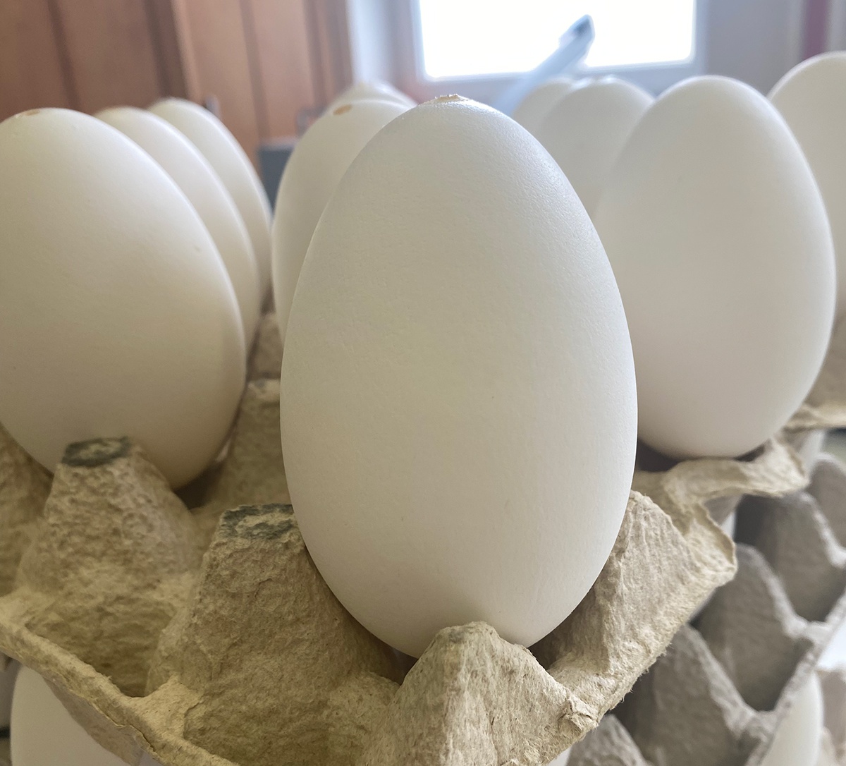ganzeneierschalen uitgeblazen voor decoratie paas eieren beschilderde eieren megamix.sk